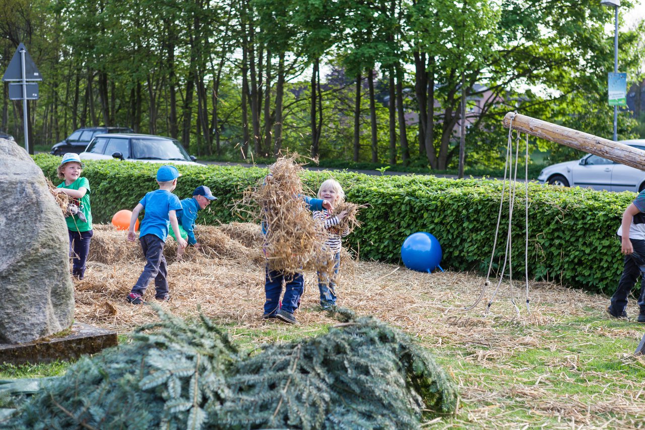 Bild 5 - Wiemersdorfer Maibaum